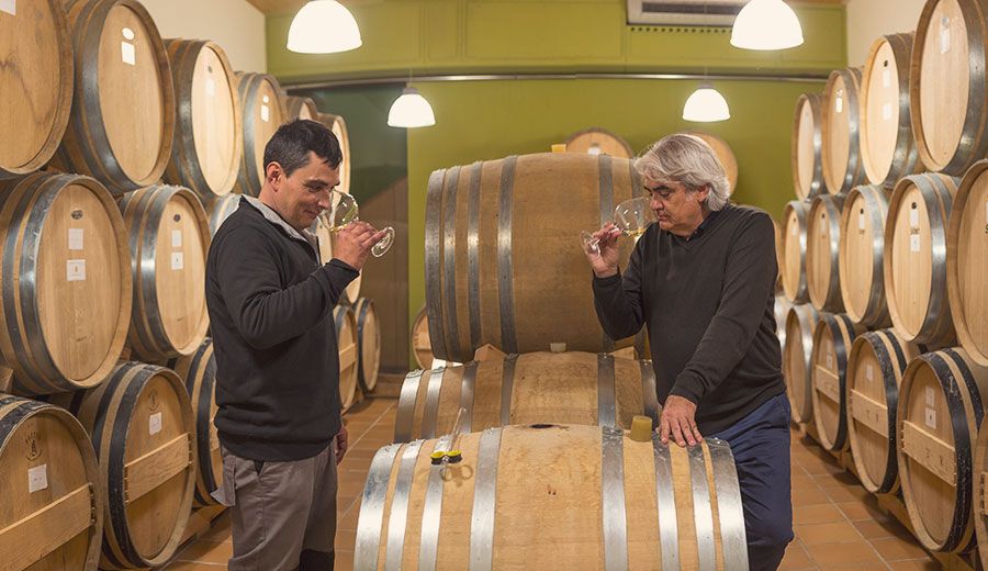 Edetària - El Celler