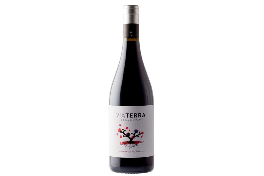 Via Terra Negre - Edetària