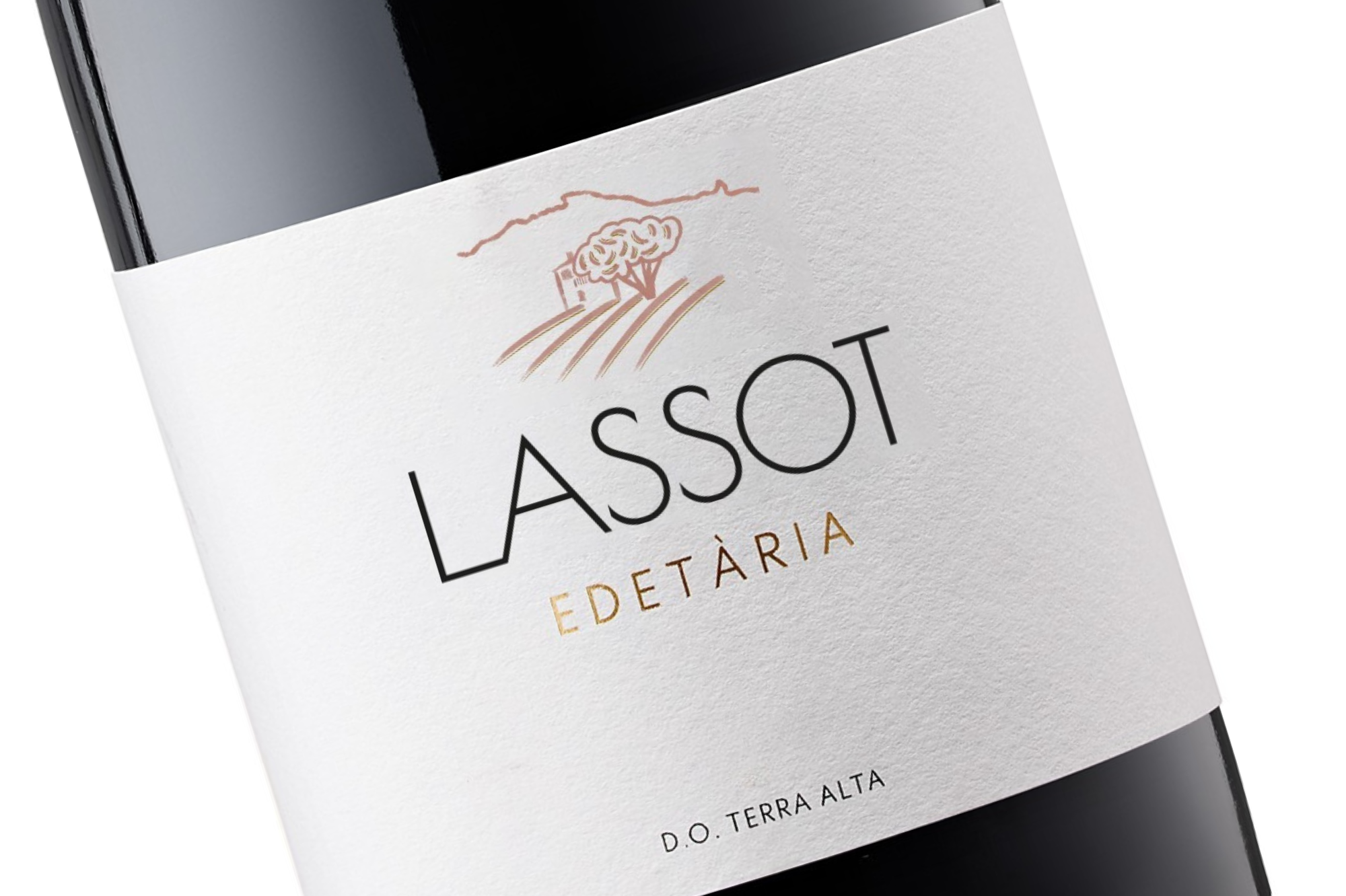 LASSOT