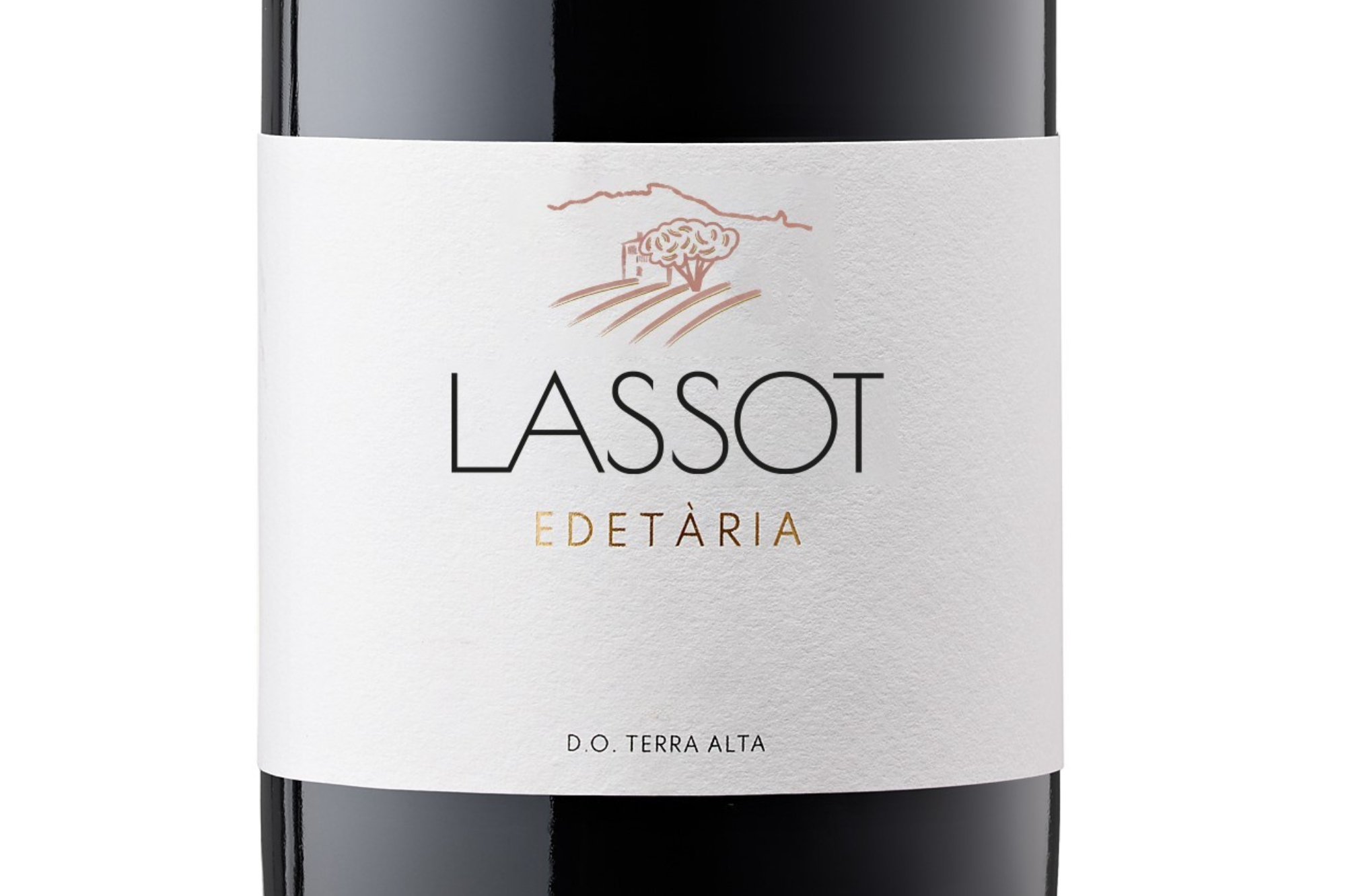 LASSOT - Image 2