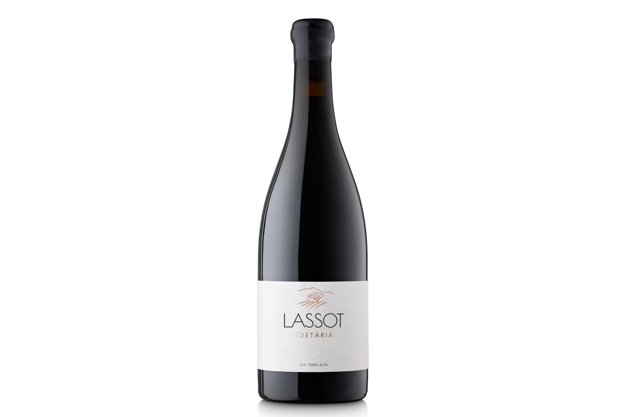 LASSOT - Image 3